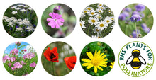 Load image into Gallery viewer, 8 Round photos of flowers on a white background
