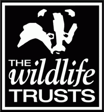 Load image into Gallery viewer, the wildlife trusts picture black and white
